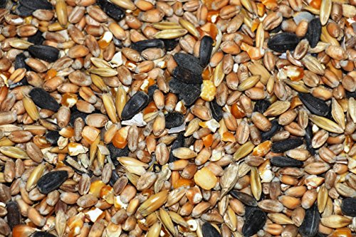 Landkörnerfutter 25 kg - 2