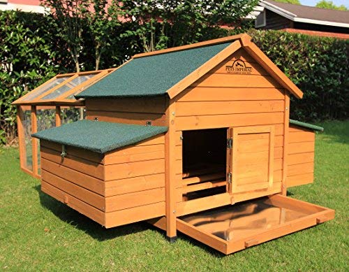 Pets Imperial® - Hühnerstall Marlborough - für 6 bis 8 Hühner Je nach Größe - leicht zu reinigen - 7