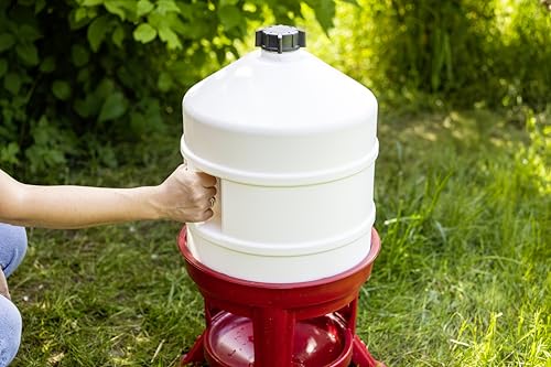 Kerbl 70233 Geflügeltränke 30 L, Gold Höhe: 70 cm - 5