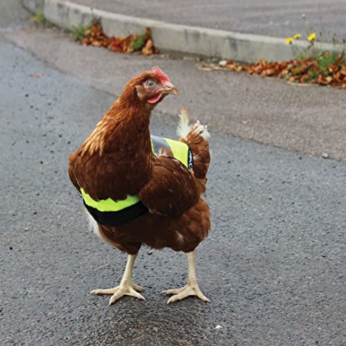Warnweste für Hühner - Gelb - 5