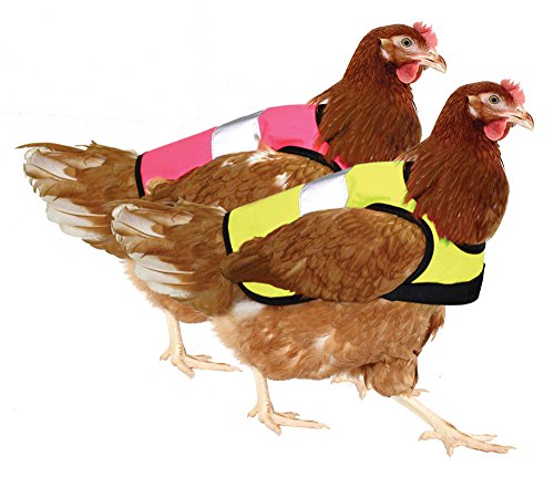 Doppelpack Warnweste für Hühner - Pink und Gelb - 2