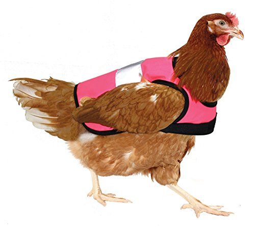 Doppelpack Warnweste für Hühner - Pink und Gelb - 3