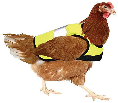 Doppelpack Warnweste für Hühner - Pink und Gelb - 4