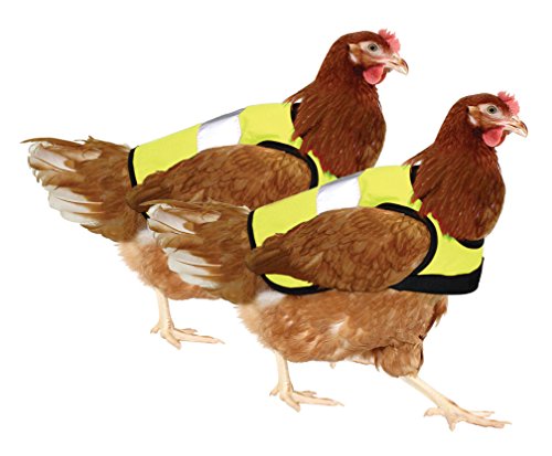 Doppelpack Warnweste für Hühner - 2 x Gelb - 2