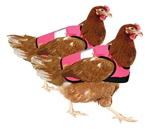 Doppelpack Warnweste für Hühner - 2 x Pink - 2